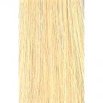 GOLDWELL TOPCHIC стойкая краска для волос – 10GB песочный пастельно-бежевый, 250ml