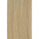 GOLDWELL TOPCHIC permanent hair color – 11SN silver natural , 60ml