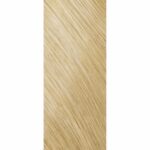 TOPCHIC ZERO ammonia-free permanent hair color – 10N extra light blonde, 60ml